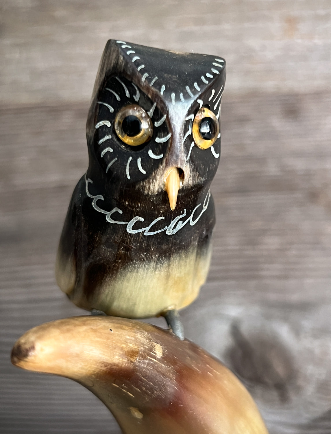 Sweet Vintage Polished Horn Desk Organizer, with Cute Little Owl