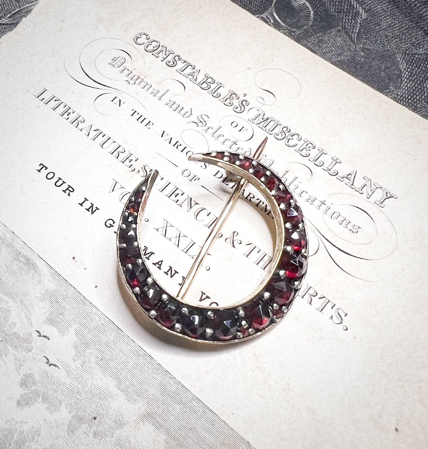 Beautiful Victorian Era Crescent Moon Garnet & Gold Pin