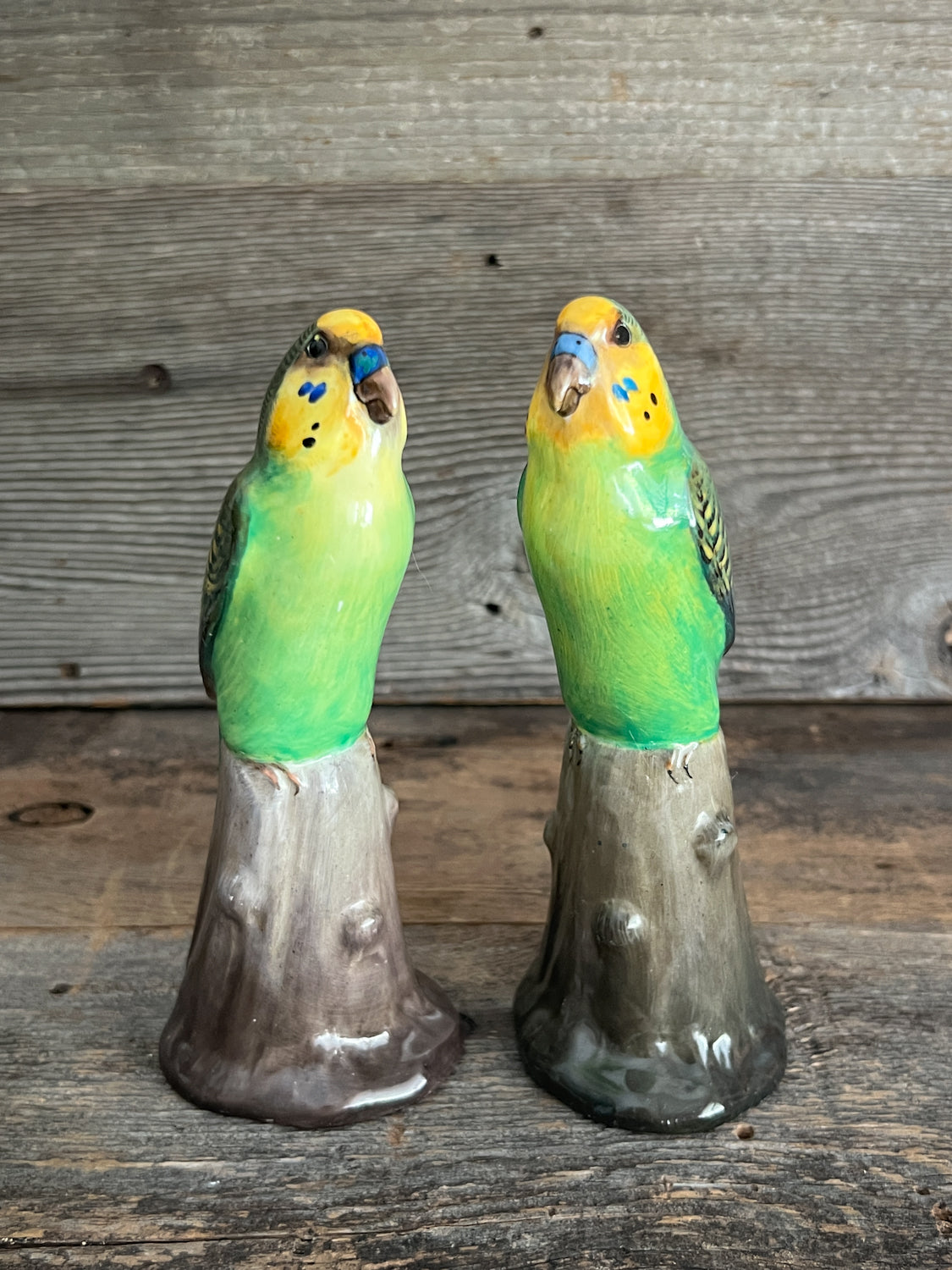 Wonderful Pair of 1920s Royal Doulton Budgies